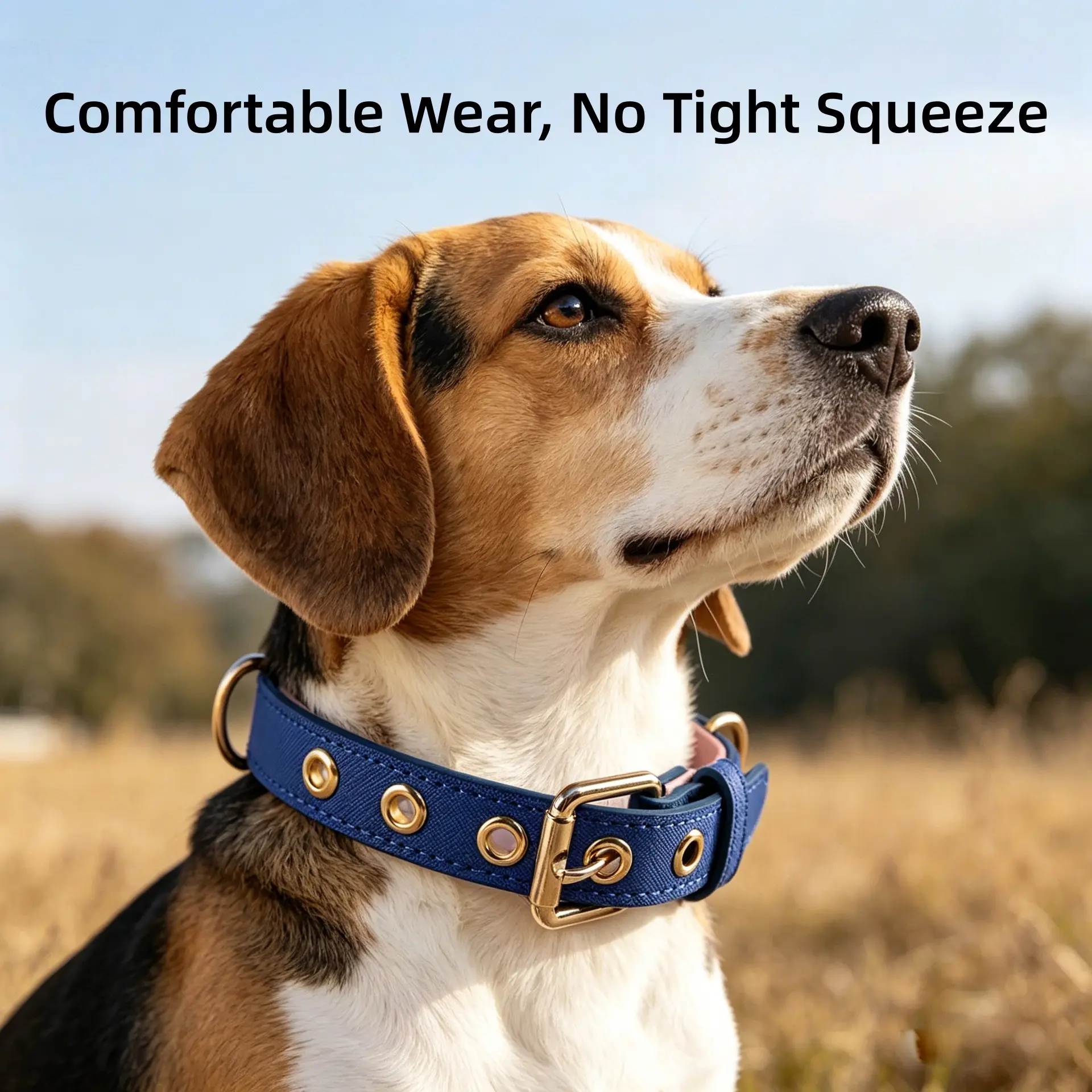 Adjustable Two-Tone PU Leather Dog Collar, Anti-Escape Comfortable Pet Collar with Gold Hardware, Durable Neckwear for Small Medium Dogs & Cats, Everyday Walks, Training & Outdoor Activities