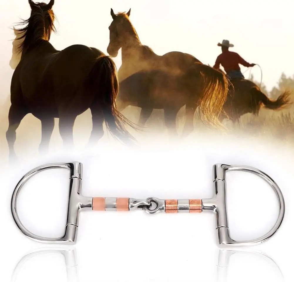 Stainless Steel Double-Jointed D-Ring Snaffle Bit for Horse Training, 5-Inch Copper Mouth Equestrian Tack