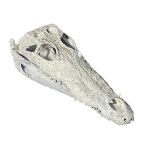 Alligator Skull! 3D Printed and Handpainted - Unique Design with Detailed Features