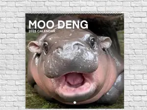 Moo Deng Calendar | 2025 Calendar | Moo Deng Hippo | Baby Pygmy Hippo MooDeng | Moo Deng Meme | Trendy Viral Christmas Gift