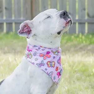 My Heart’s A Flutter Dog Bandana