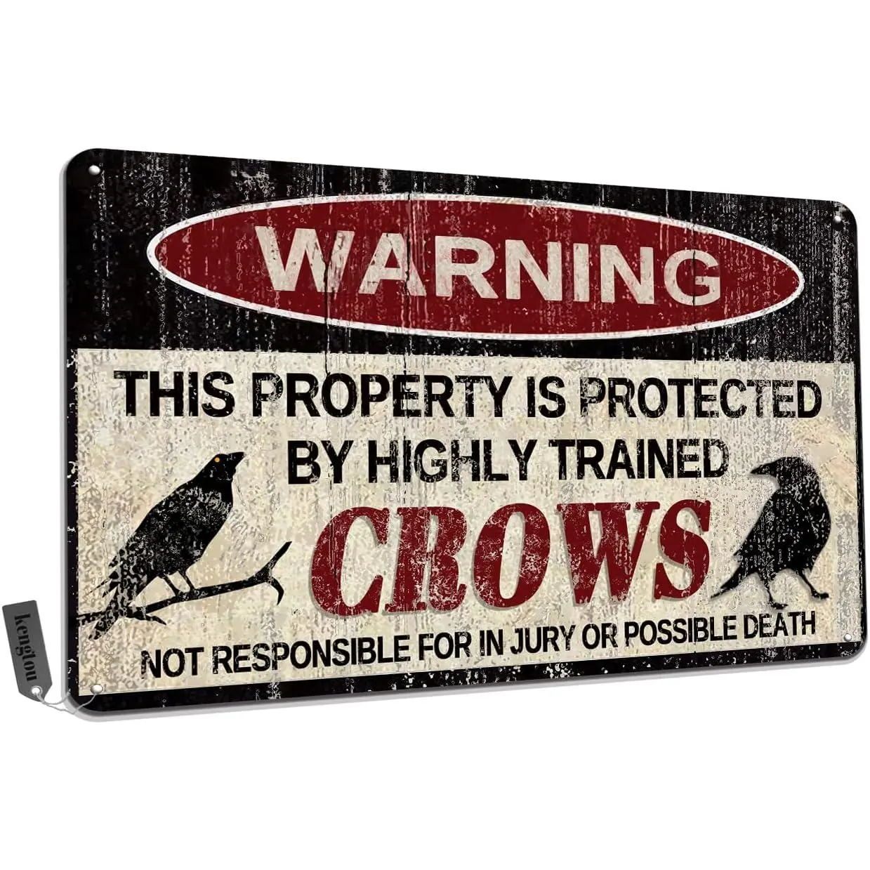 Vintage Tin-Steel Metal Sign - Crow-Warn Humor Plaque, 12x8in Outdoor Home Wall Decor, Ideal for Yard Entry, Warning This Property Is Protected By Highly Trained Birds