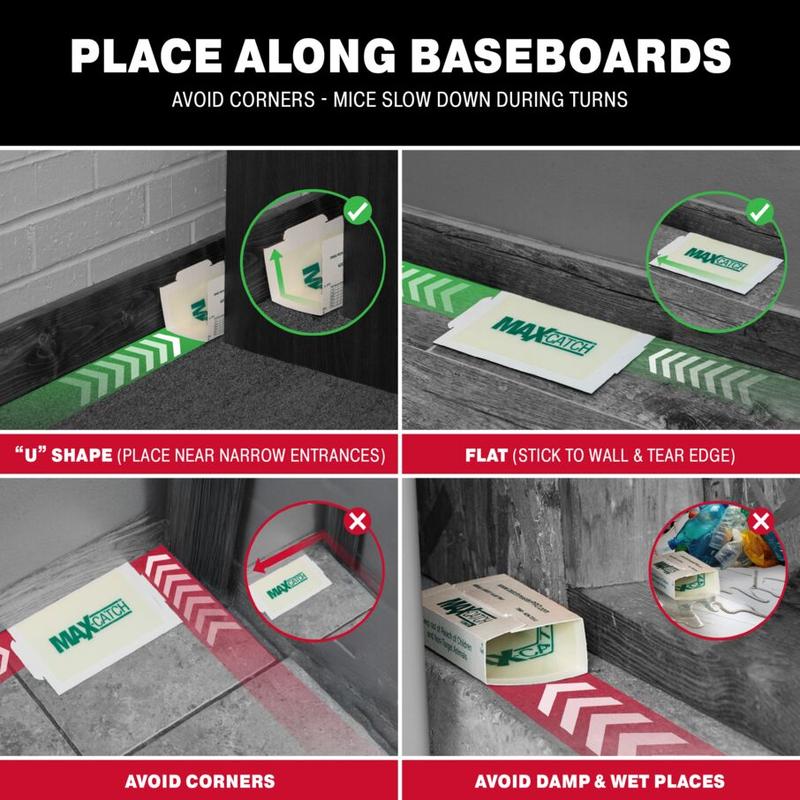 Max-Catch Non-Toxic Scented Glue Traps