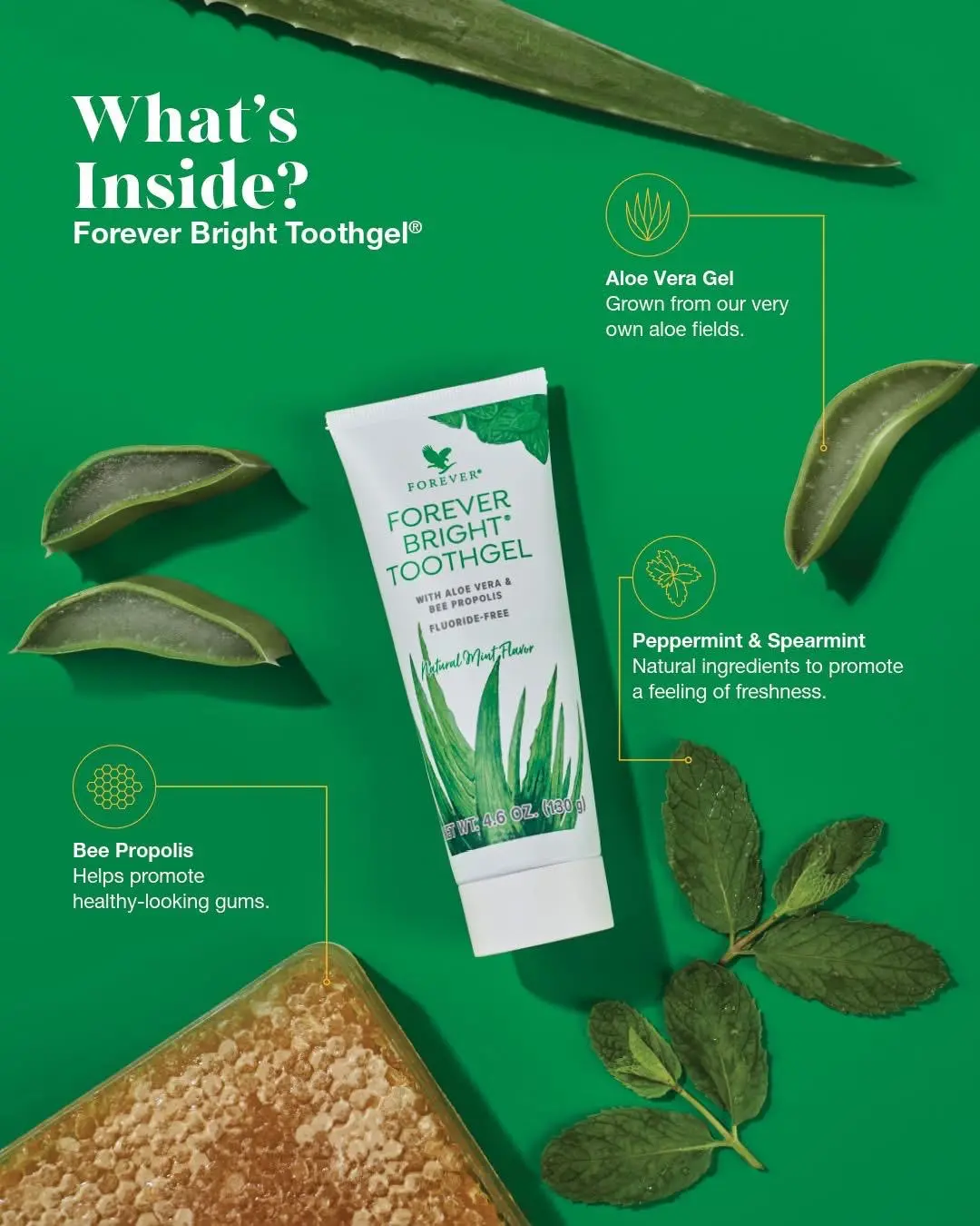 FOREVER Bright TOOTHGEL with Aloe Vera & Bee Propolis Fluoride-Free Formula  for Sparkling Teeth Fresh Breath Natural Mint Flavor - TikTok Shop