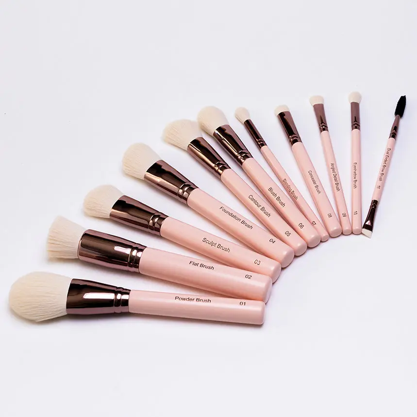 Blush Beauty Makeup Brush Set - 11 pc.
