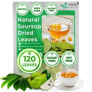 Premium Soursop Graviola Dried Leaves, 120-130 Natural Leaves, Whole Soursop Leaves, Wildcrafted, Graviola, Soursop, Hoja Guanabana, Soursop Loose Leaf Herbal Tea, No Gluten, Vegan Beverage