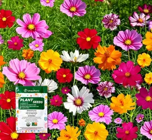 Zinnia Seeds Mix – Easy-to-Grow Flower Seeds for Home Garden, Patio, or Balcony – Colorful Annual Blooms, Ideal for Outdoor or Container Planting