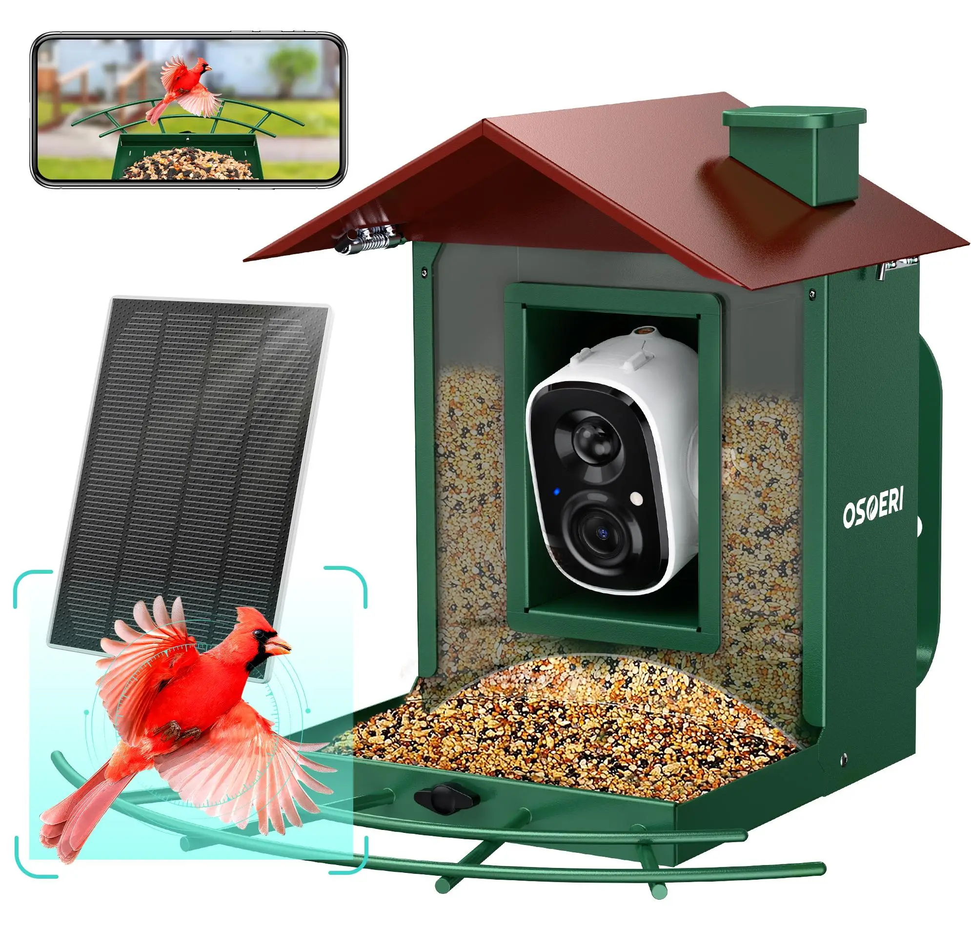 Osoeri Bird Feeder with Camera, Smart Bird Feeder Camera with AI Identify, Auto Capture Bird Videos & Motion Detection, Ideal Gift for Bird lovers