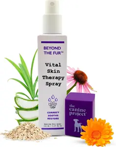 Beyond The Fur Vital Skin Therapy Spray for Dogs (5.07 oz) – All-Natural Healing Skin Saver for Dogs to Correct, Soothe & Restore with Aloe Vera, Oatmeal, Echinacea & Calendula Extract