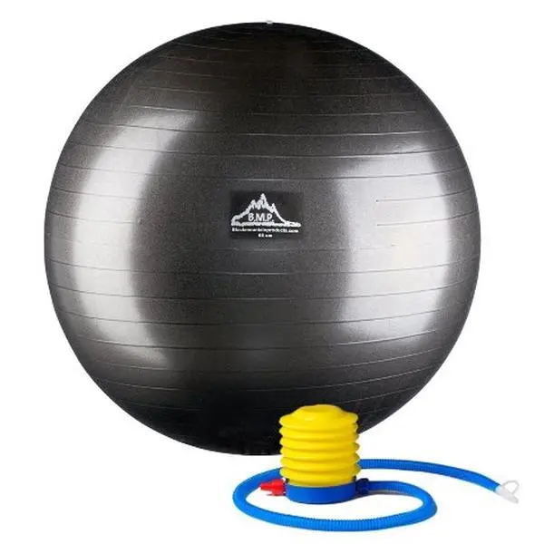 212 MAIN Professional Grade Anti-Burst Exercise Stability Ball, 65cm Black Balance Training Fitness Equipment