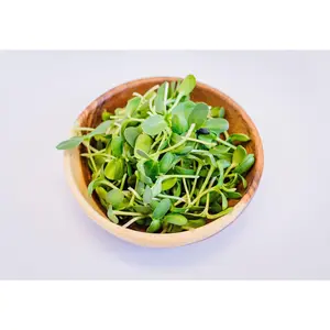 Sunflower Microgreens
