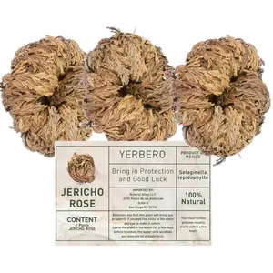 Yerbero 3 Piece Bundle Rose of Jericho Dried Flower, Selaginella Lepidophylla Resurrection Plant Set, 3 Medium Size Natural Dried Botanical Roses for Home Decor, Bowls and Traditional Display Use