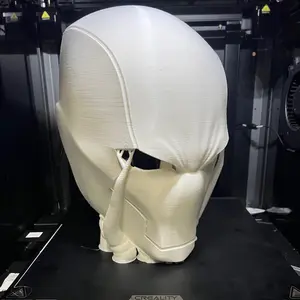 Red Hood DIY Kit Raw Prints