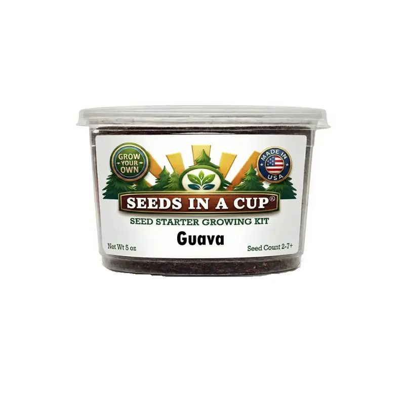 Guava Tree Grow Kit – Tropical Fruit Tree from Seed
