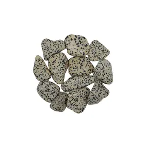 Dalmatian Jasper, Tumbled