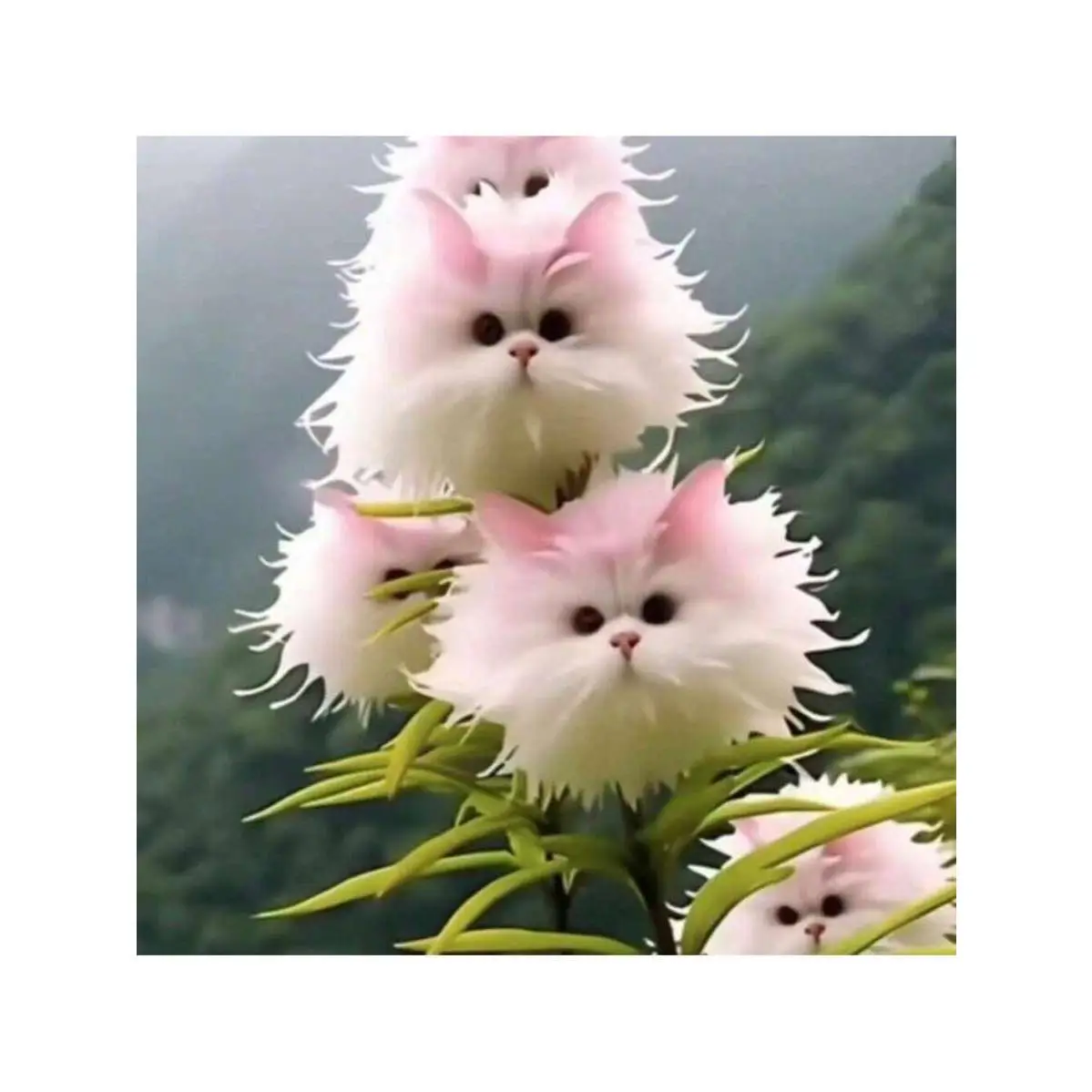 100 White Cloud Moth Flower Seeds Cat Face Orchid Monkey Face Orchid Planting Fun, Suitable For Home Or Garden, Limited Supply, Order Now