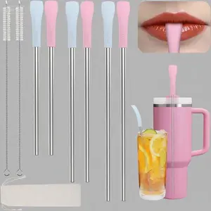 Stainless Steel Drinking Straws 6-Pack, Reusable Wrinkle-Free Metal Straws with Cleaning Brush and Pouch, Flat Wide Lip-Friendly Straws for Tumblers, Dishwasher Safe Long-Lasting Straw Set