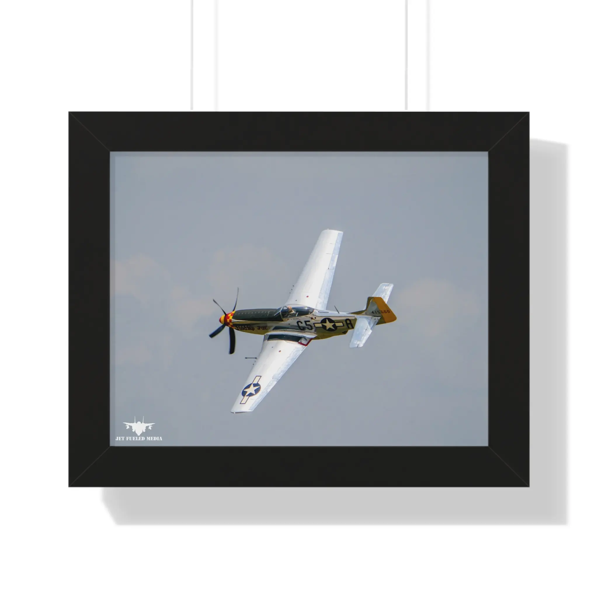 Framed Poster Swamp Fox P-51D (Photo)