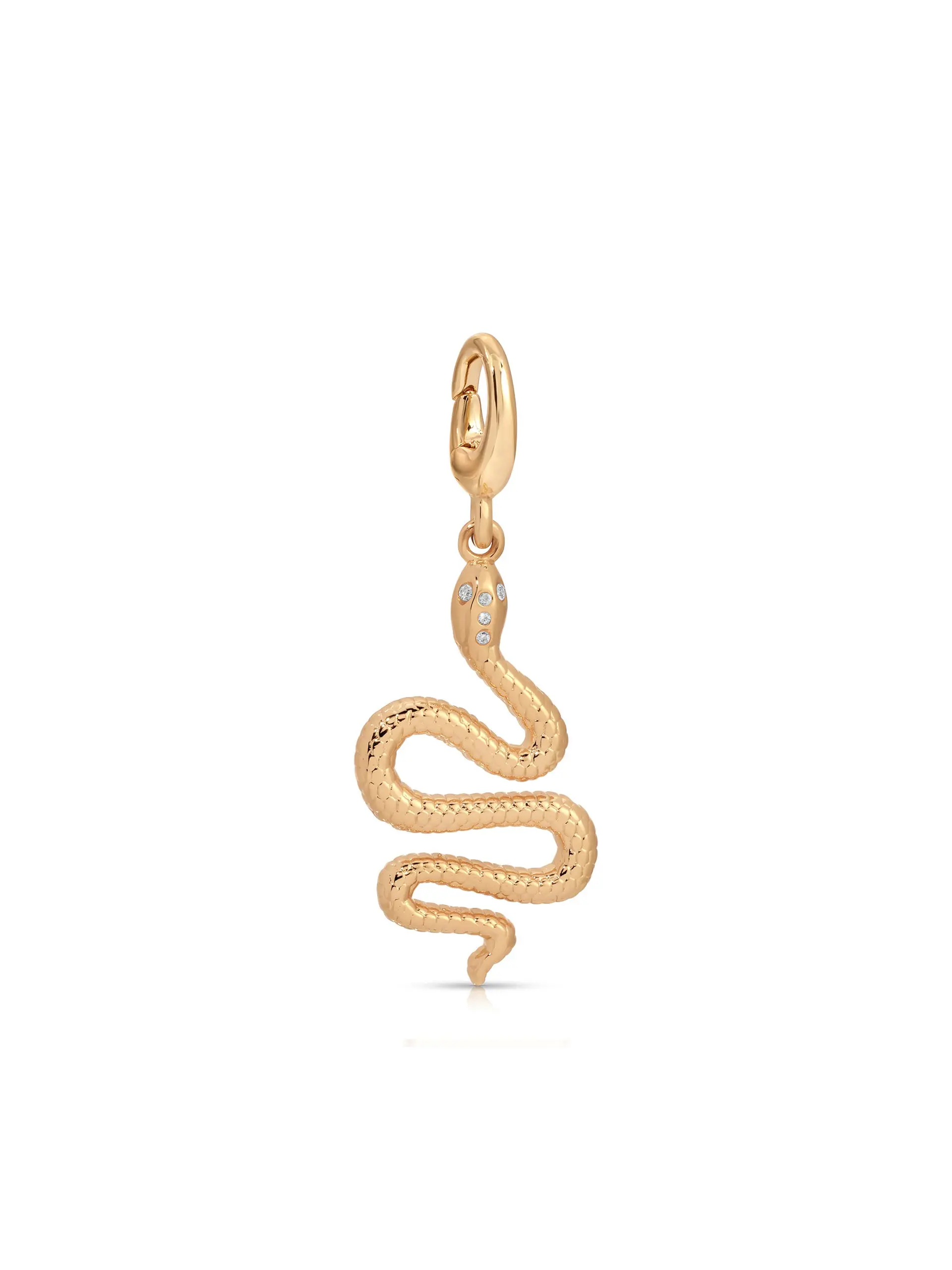 Snake Charm