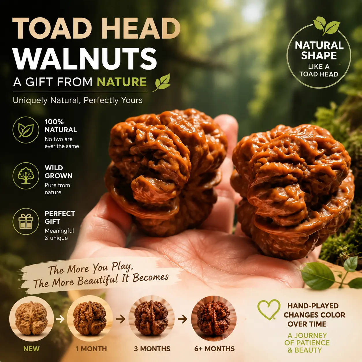 Natural Chinese Toad Head Walnut Hand Fidget Toy, Pocket-Sized Collectible for Adults, Rolling Helps Ease Work Pressure, Simple Daily Polish Keeps Shine Fresh, Mindfulness Tool for Anniversaries, Includes Care Tools