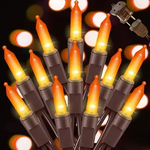 LAMPHOME 2-Pack Orange Halloween String Lights 100 Count 20FT UL Certified Brown Wire 120V Plug-In for Spooky Halloween & Thanksgiving Party Decor