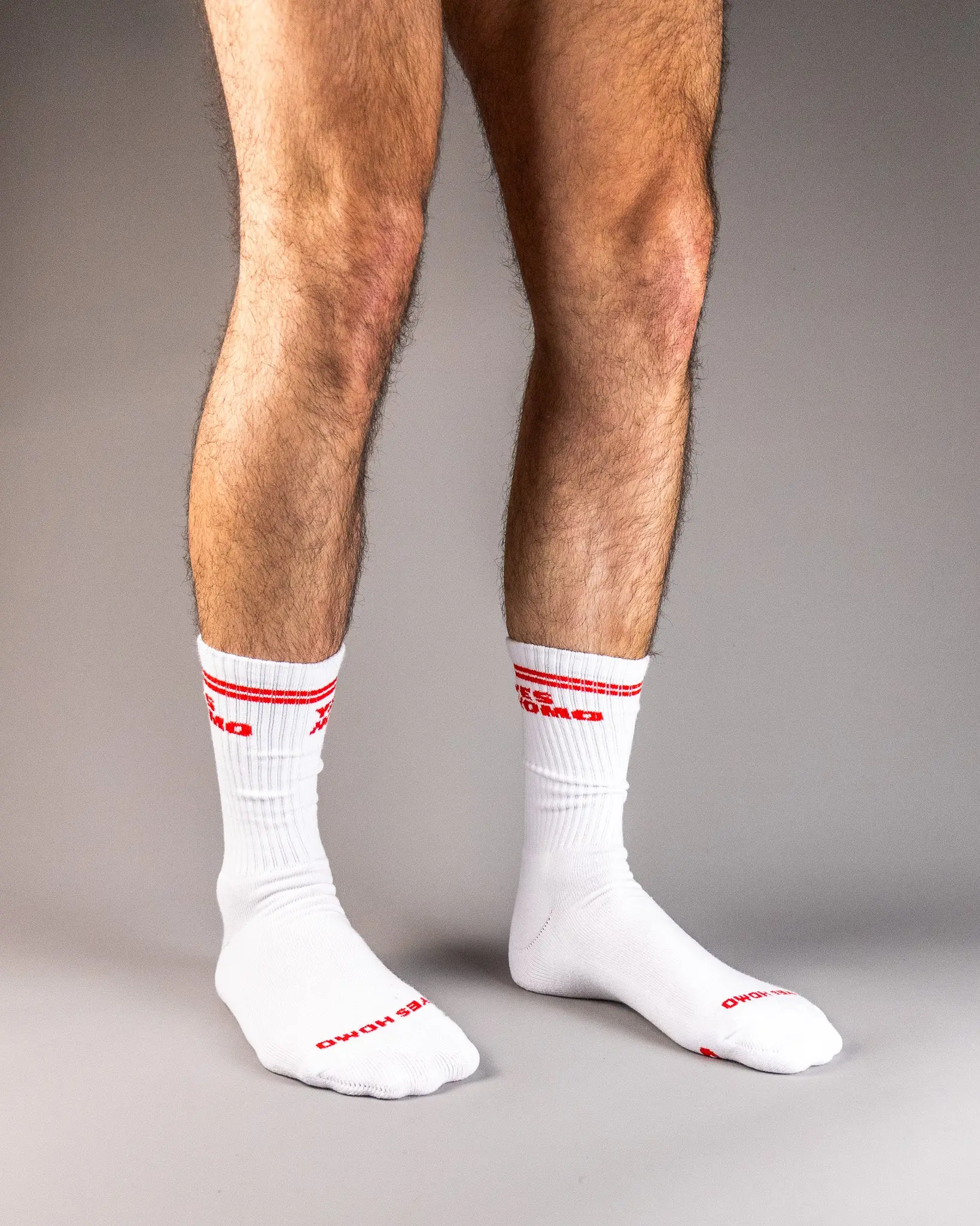Yes Homo Socks