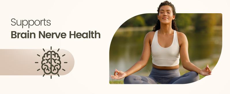 TikTokShopBlackFriday NOORUZ Lion's Mane 900mg with Blueberry Antioxidants - Memory, Focus, Mood & Nerve Support - 2-in-1 Anti-Aging Brain Formula Mental Clarity Nutritional Supplement Healthcare Fitness TikTokShopBlackFriday NOORUZ Lion's Mane 900mg with Blueberry Antioxidants - Memory, Focus, Mood & Nerve Support - 2-in-1 Anti-Aging Brain Formula Mental Clarity Nutritional Supplement Healthcare Fitness