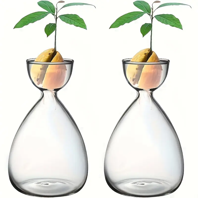 2pcs/6pcs Small Avocado Seeds Starter Vase, Avocado Tree Planting Kit, Avocado Glass Flower Pot Vase, Gift for Garden Lovers, Halloween Christmas Decor