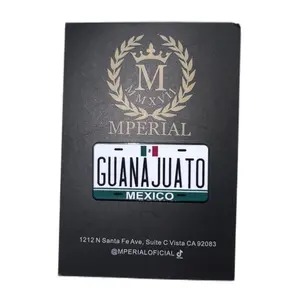 Placa De Guanajuato Hat Pin