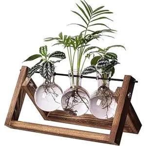 Terrarium Propagation Station - 3 Glass Bulb Vases with Retro Wooden Stand Boho Desktop Planter for Hydroponics Home Garden Indoor Home Office Decor Unique Gifts for Women & Plant Lovers