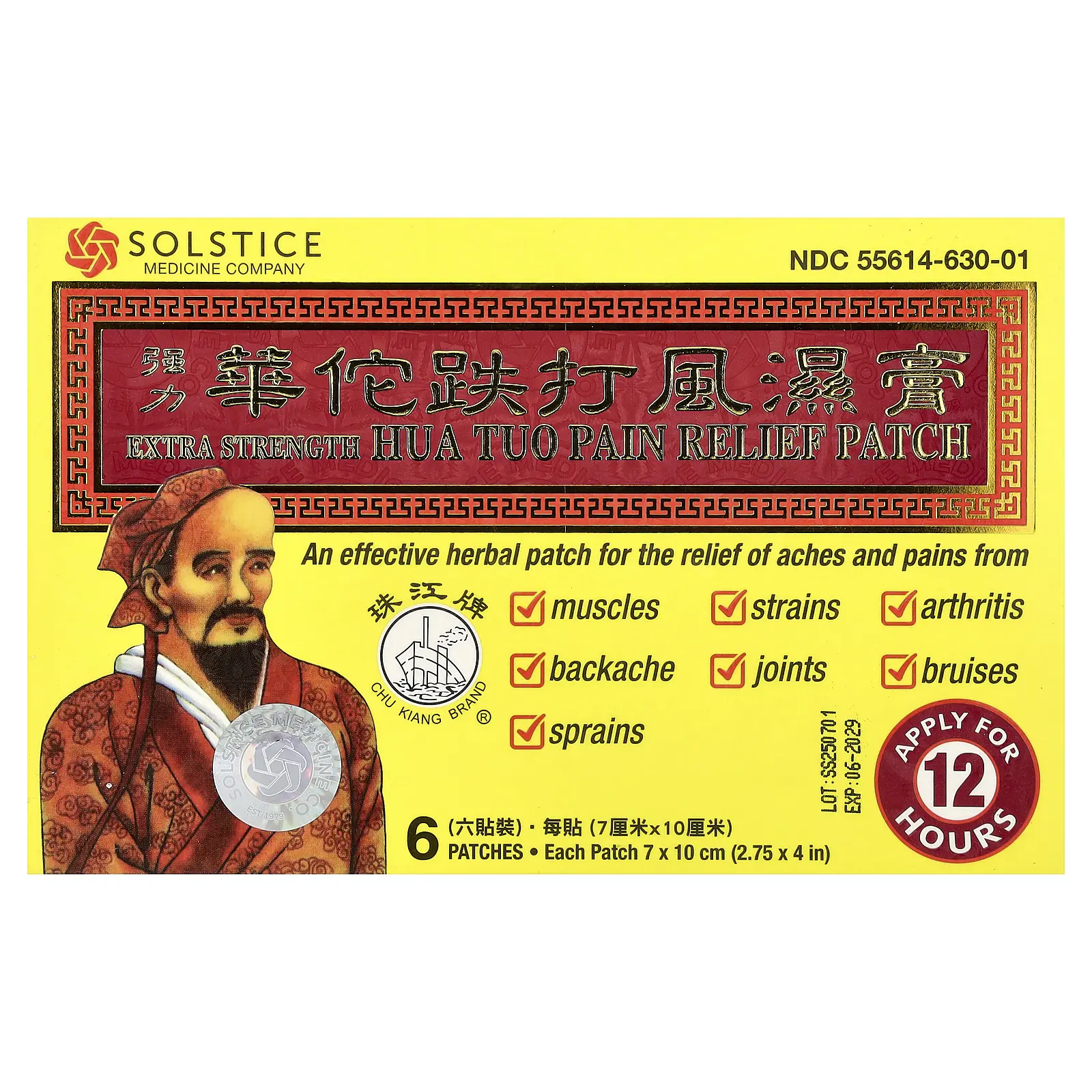 Chu Kiang Brand Hua Tuo Pain Relief Patch, 6 Patches