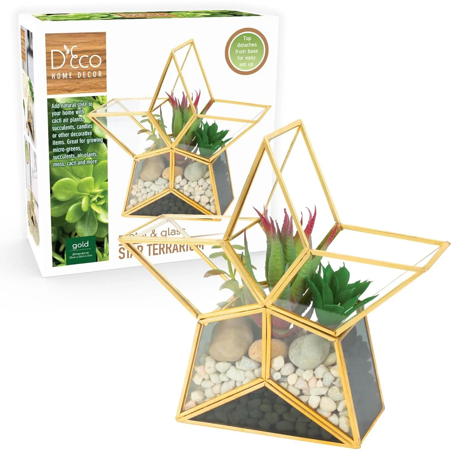 D'Eco Glass Star Plant Terrarium - Indoor Tabletop Gold Trimmed Geometric Planter - Home Garden Office Decor - Mother's Day Gift (Terrarium Only)