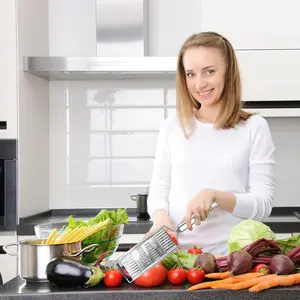 4 in 1 Vegetable Slicer Shredder Grater Cutter Manual Carrot Potato Grater Lot Kitchen Stainless