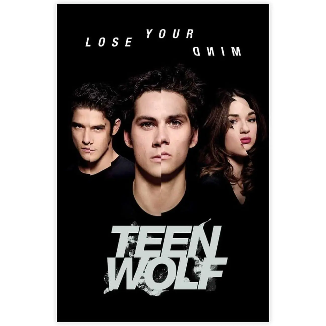 Teen Wolf TV Series Classic Poster 4 Canvas Poster Wall Art Decor Print Picture Paintings for Living Room Bedroom Decoration