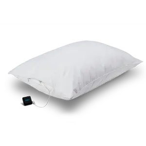 Dreampad Pillow