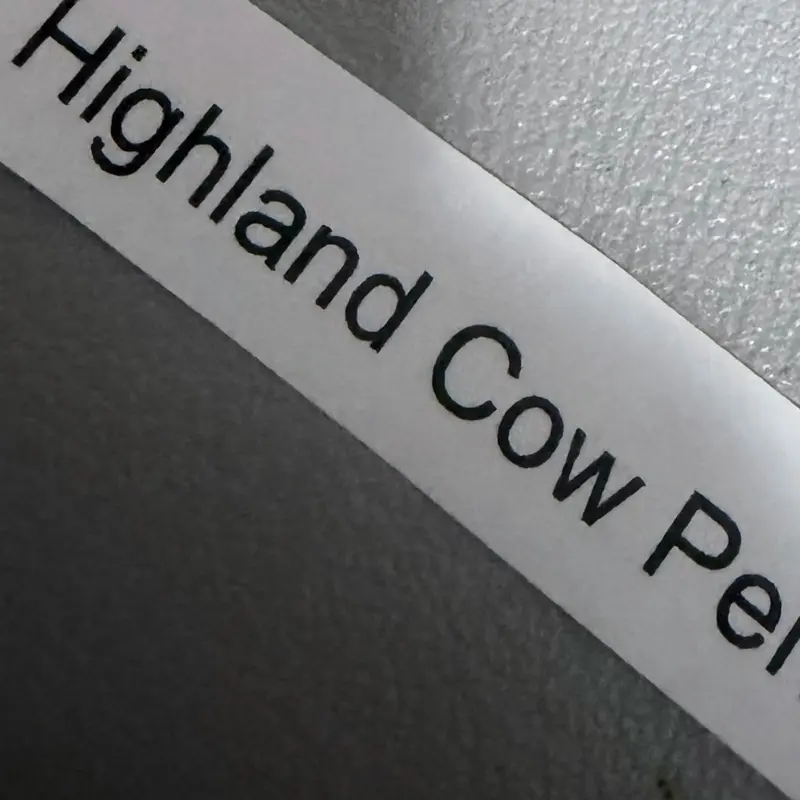 Cow Pen with Purple and Gray Colors