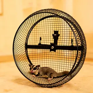 Wall mounted running wheel