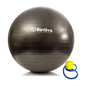 Bintiva 55cm Swiss Exercise Ball