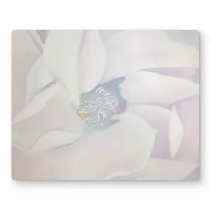 Begin Home Decor C1MP16206395VU 16 x 20 in. Delicacy - Pink Minimalist Metal Print Wall Art for Home Decor