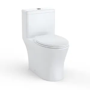 Garvee 17.5" Elongated One-Piece Toilet with V-Shaped Cover & ADA Height, Soft-Close PP Seat & Easy-Clean Ceramic Surface, Water-Efficient Flush & Compact Design