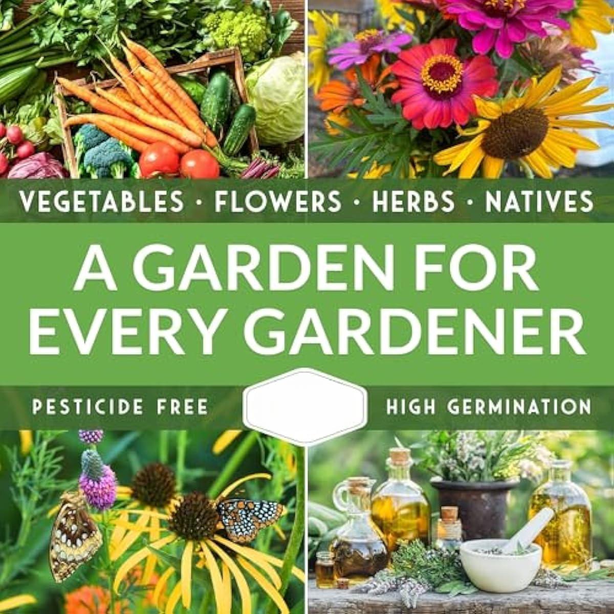 Luffa or Loofah Seed for Planting - 1 Packet with Instructions to Plant and Grow Ornamental Gourds in Your Home Vegetable Garden - Non-GMO Heirloom Variety