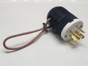 Chain hoist pocket pickle, motor controller with L14-20 style connector.