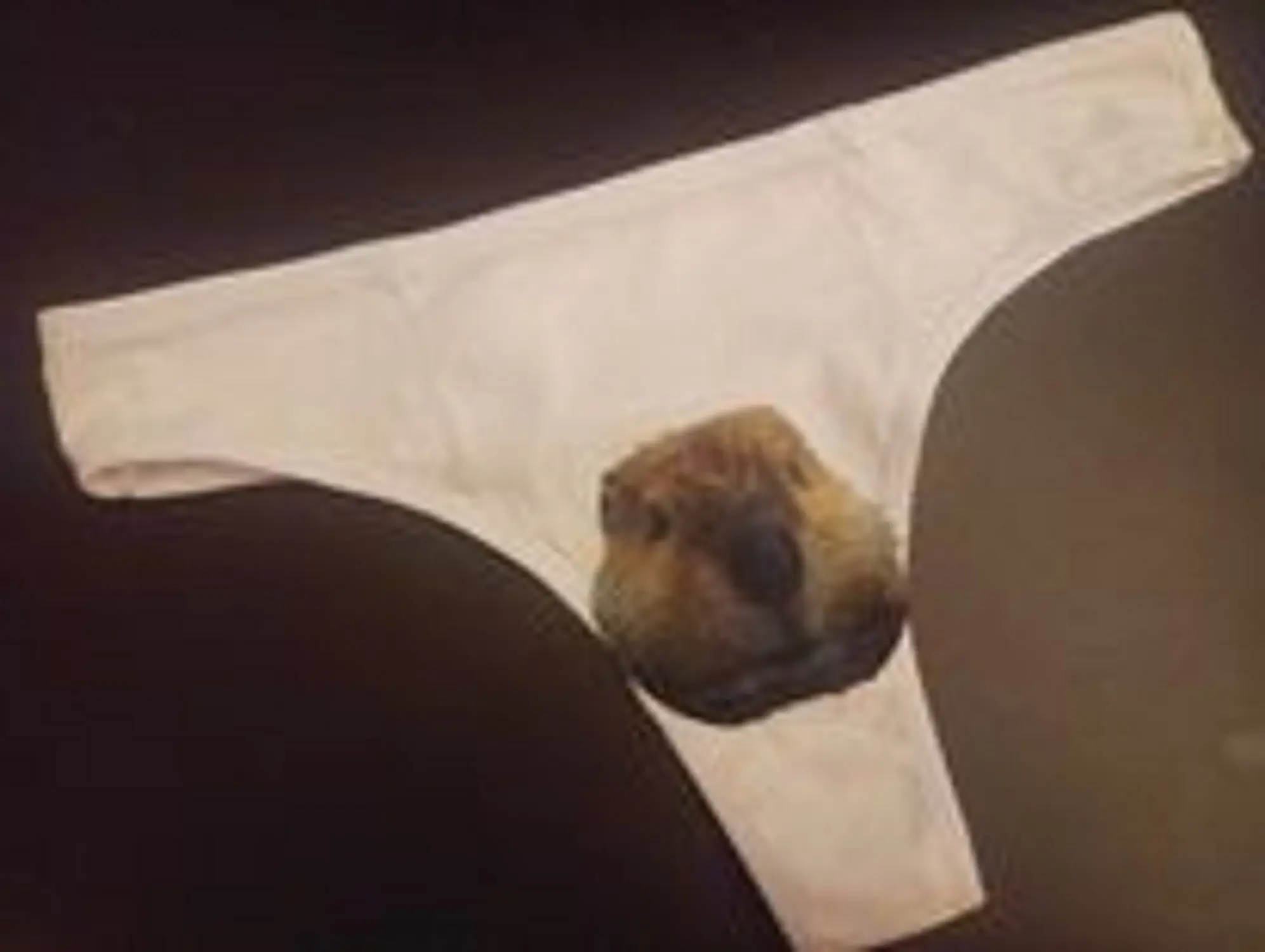 Beaver Head Animal Face Womens Thong Panties Underwear Sarcastic Funny Ladies small medium large xlachelorette Gift Girlfriend Cotton Lingerie Panty Soft Womenswear Comfortable