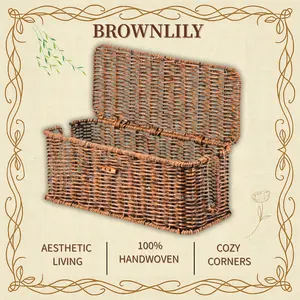 BROWNLILY Rattan Cable Management Box and Wicker Cord Organizer, Toilet Tank Top Shelf Rattan Decor Cable Hider for Under Desk, TV & Home Office Storage, with Lockable Lid, Baby Proof, Pet Proof, Power Strip & Outlet Cover Basket Faux