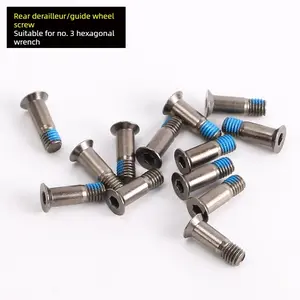 Silver screws for fixing the rear derailleur pulley of mountain road bicycle. Universal repair parts and accessories for equipment.