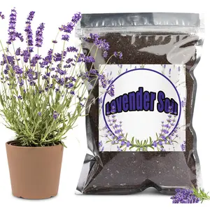 Lavender Potting Mix 1qt, Promotes Lavender Blossoming,  for Indoor and Outdoor Gardening