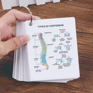 18pcs Body Frame Anatomy Flashcards – Front & Back Labeled Skeletal System Study Cards for Medical & Nursing Students, Double-Sided Educational Flashcards**