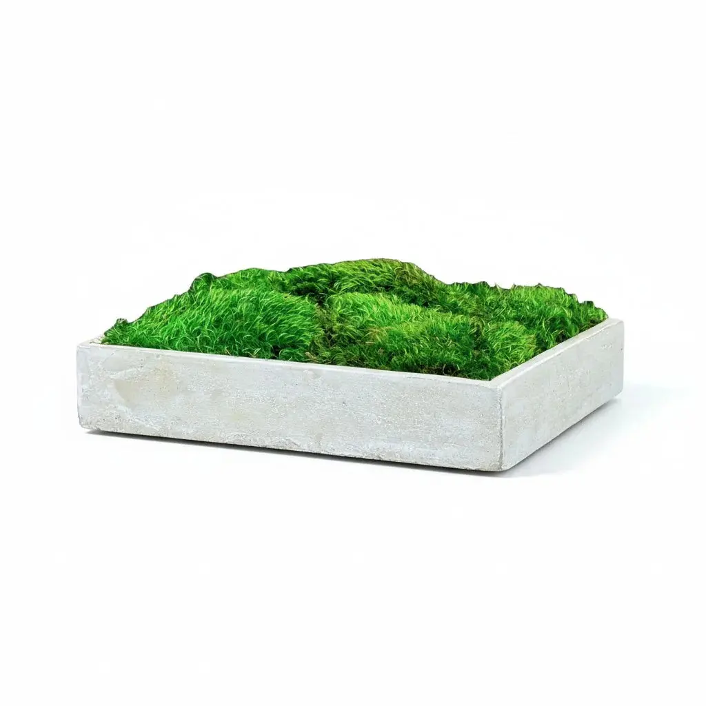 LVM - Concrete Mood Moss Centerpiece - Medium
