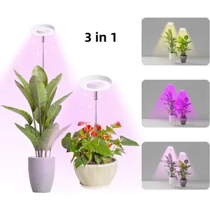 LED Grow Light for Desk & Indoor Plants – Small Full Spectrum Plant Lamp with Adjustable Timer, Great for Office, Students, or Plant Lovers