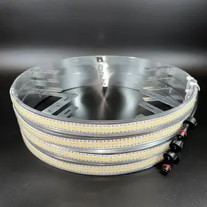 Double Row White High Density Wheel Lights